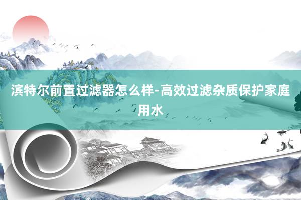 滨特尔前置过滤器怎么样-高效过滤杂质保护家庭用水
