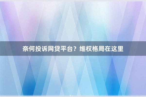 奈何投诉网贷平台？维权格局在这里