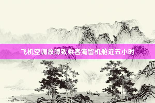 飞机空调故障致乘客淹留机舱近五小时