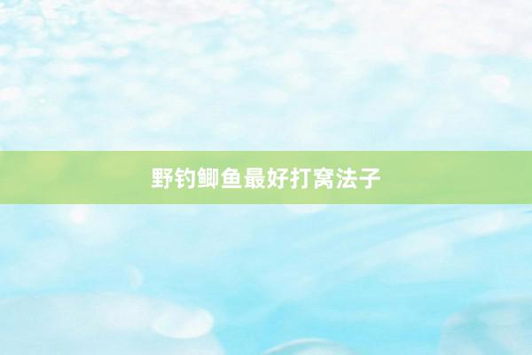野钓鲫鱼最好打窝法子