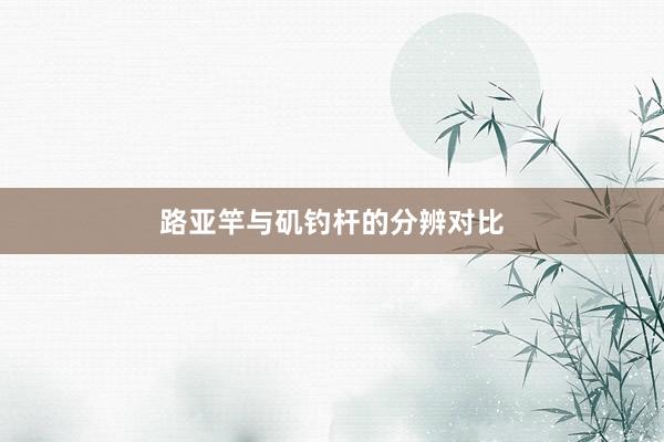 路亚竿与矶钓杆的分辨对比
