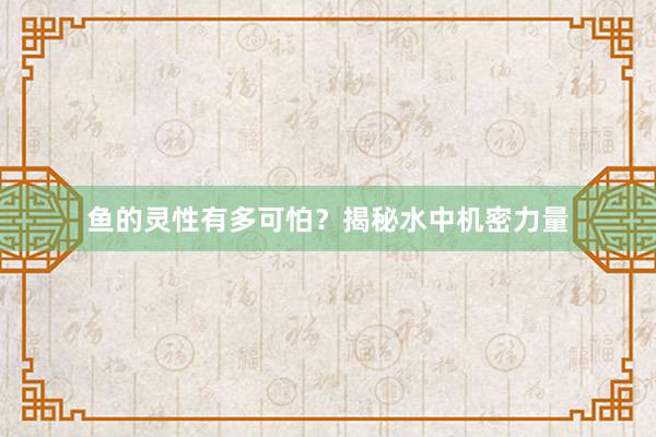 鱼的灵性有多可怕？揭秘水中机密力量